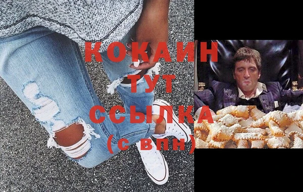метадон Богданович