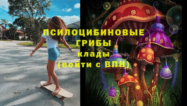метадон Богданович