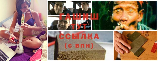 метадон Богданович