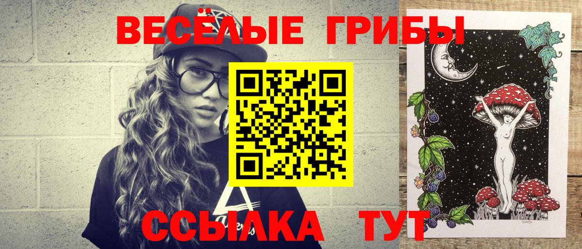 Галлюциногенные грибы Psilocybine cubensis  Вход с VPN  Псилоцибиновые грибы мицелий  Коломна 