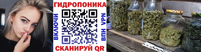 Бошки марихуана план  наркота  Коломна 